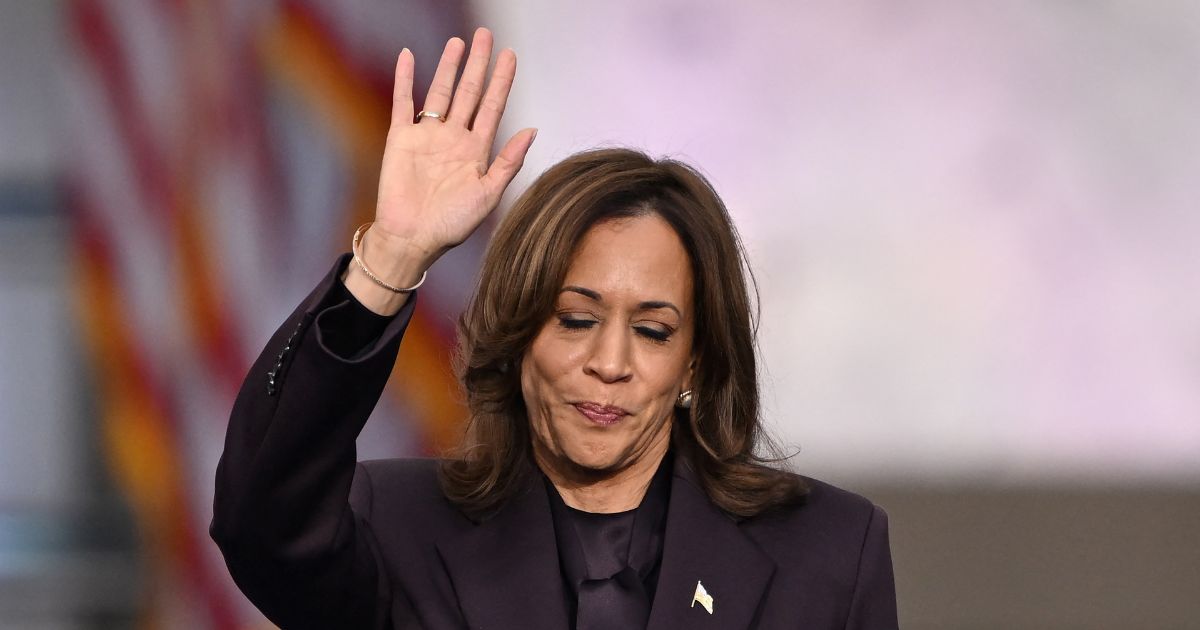 Harris’ Next Move? Kamala Reportedly Keeping Political Paths on the Table After Tough Loss to Trump