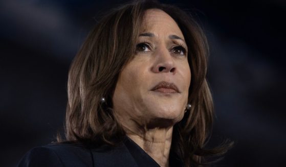 Vice President Kamala Harris speaks to supporters during a campaign event in Little Chute, Wisconsin, on Nov. 1.