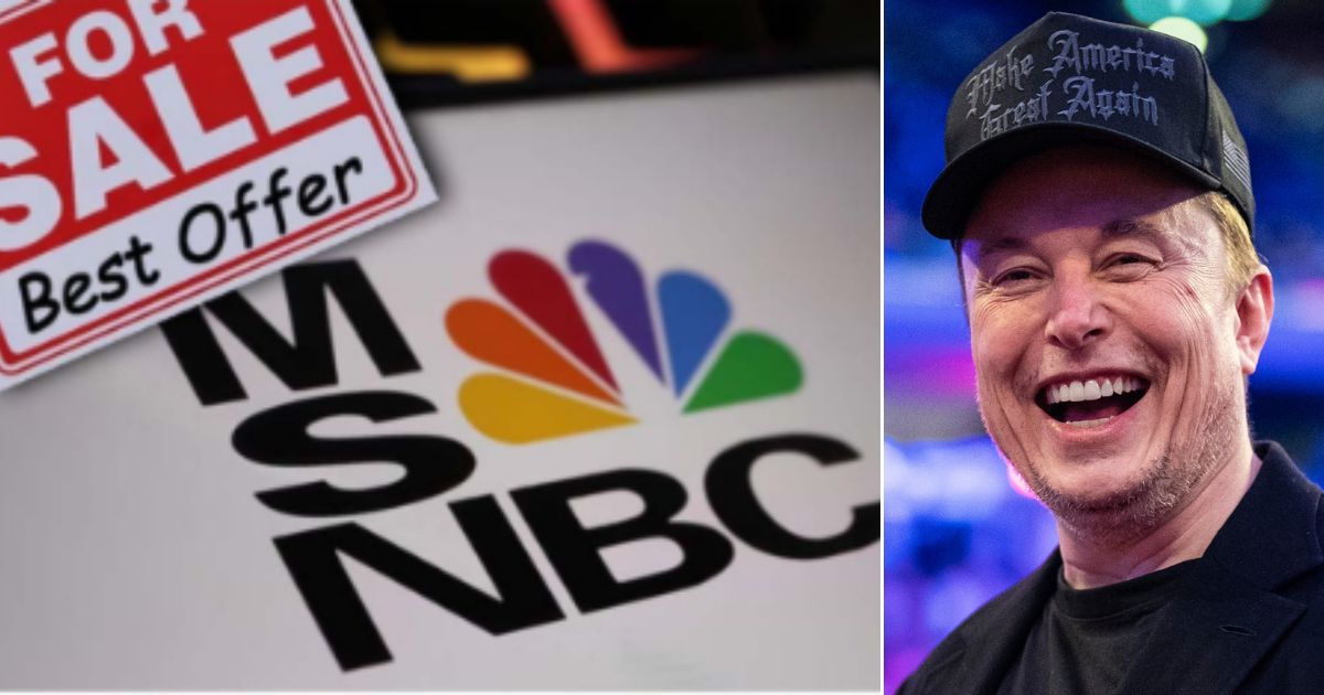 Is Elon Musk Buying MSNBC? Social Media World Jumps to Conclusions After Noticing Familiar Question from Billionaire