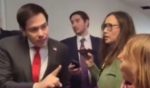 A Palestinian apologist, right, accosted Sen. Marco Rubio, left -- President-elect Donald Trump's choice for secretary of State -- and asked him about bringing out a ceasefire between Israel and Hamas, but Rubio responded with force.