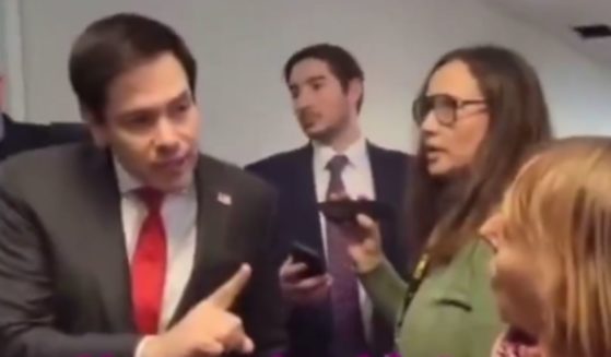 A Palestinian apologist, right, accosted Sen. Marco Rubio, left -- President-elect Donald Trump's choice for secretary of State -- and asked him about bringing out a ceasefire between Israel and Hamas, but Rubio responded with force.