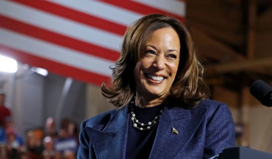 US Vice President and Democratic presidential nominee Kamala Harris smiles during a campaign rally at Michigan State University's Jenison Field House in East Lansing, Michigan, on November 3, 2024.