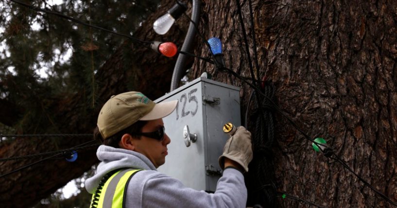 Derek Nowak, 23, prepares to plug in a string of Christmas lights to an electrical box on a tree at Christmas Tree Lane in Altadena on November 2, 2024.