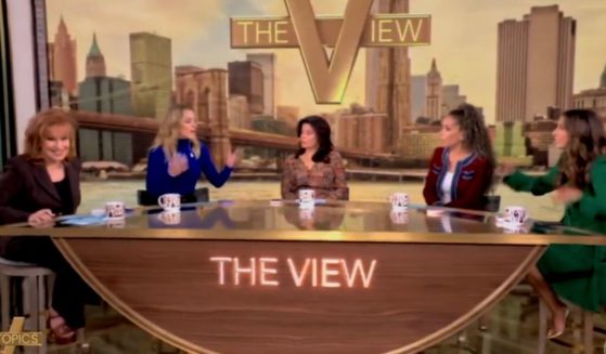 Co-hosts of "The View" arguing in the wake of Democrats' monumental defeat in 2024.