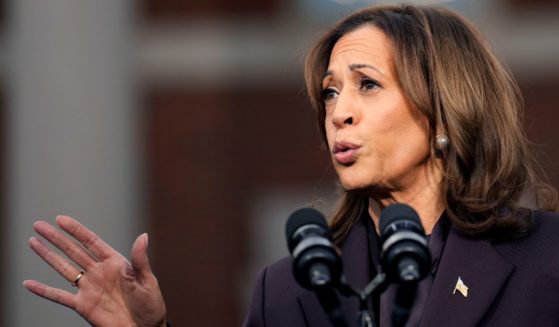 Democratic presidential nominee, U.S. Vice President Kamala Harris speaks on stage as she concedes the election, at Howard University on November 06, 2024 in Washington, DC.