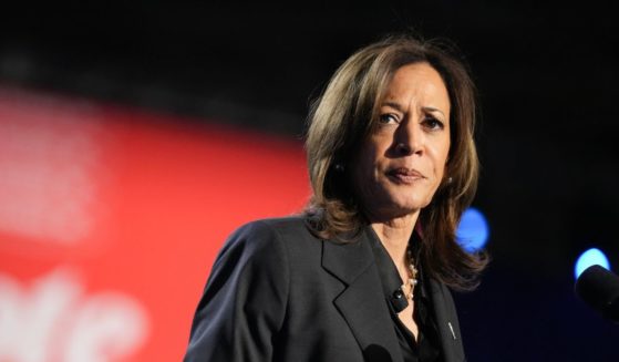 Democratic presidential nominee, U.S. Vice President Kamala Harris speaks at a campaign rally at the Wisconsin State Fair Park Exposition Center on November 1, 2024 in West Allis, Wisconsin.