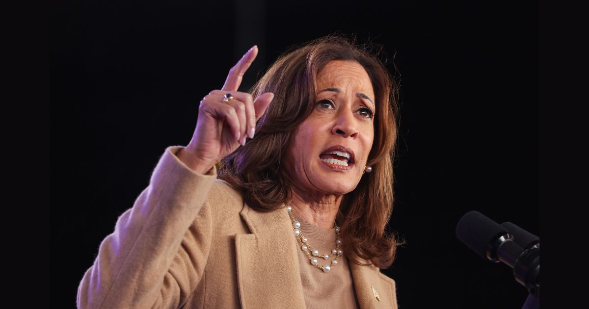 Democratic presidential nominee, U.S. Vice President Kamala Harris, speaks during a campaign rally at the PNC Music Pavilion on November 02, 2024 in Charlotte, North Carolina. With only days to go until Election Day, Vice President Kamala Harris is campaigning in Georgia and North Carolina.