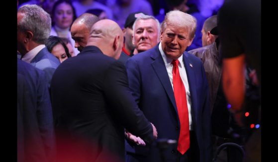 President-elect Donald Trump shakes hands with Dana White during the UFC 309 event at Madison Square Garden on November 16, 2024 in New York City.