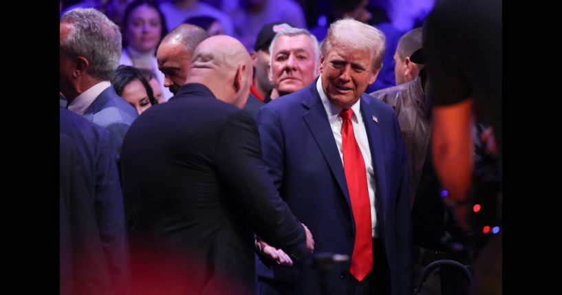 President-elect Donald Trump shakes hands with Dana White during the UFC 309 event at Madison Square Garden on November 16, 2024 in New York City.