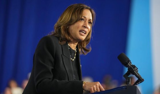 Democratic presidential candidate, U.S. Vice President Kamala Harris speaks at a rally at the Pennsylvania Farm Show Complex & Expo Center on October 30, 2024 in Harrisburg, Pennsylvania.