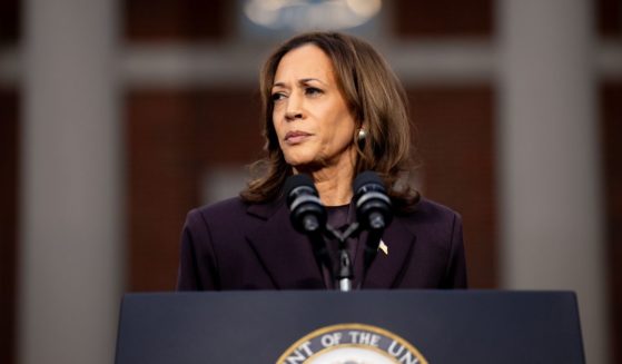 Democratic presidential nominee, U.S. Vice President Kamala Harris pauses while speaking on stage as she concedes the election, at Howard University on November 6, 2024 in Washington, DC.