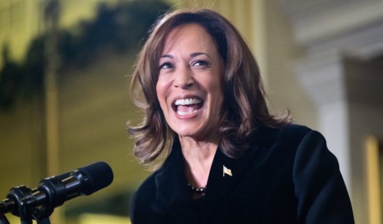 Vice President Kamala Harris speaks at the Democratic National Committee's Holiday Reception in Washington, D.C., on Dec. 15.