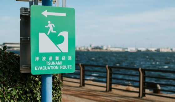 A tsunami evacuation sign is posted on a beach.