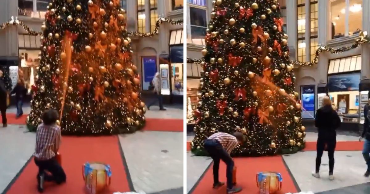 Video: The Time Global Warming Punks Ruined Christmas Tree With Orange Paint, Across 7 Different Cities