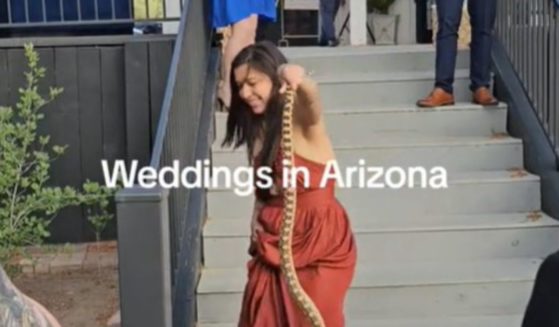 Erika Rodriguez removes a snake from the premises of a wedding.