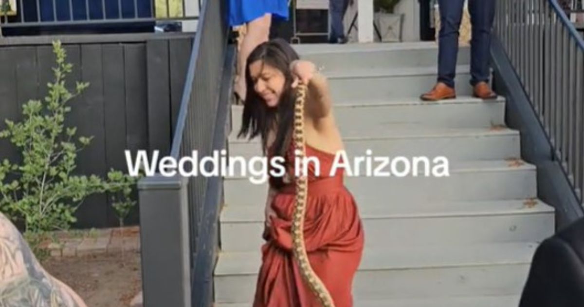 Watch: Bridesmaid Saved Wedding Day When Snake Showed up Without Invitation