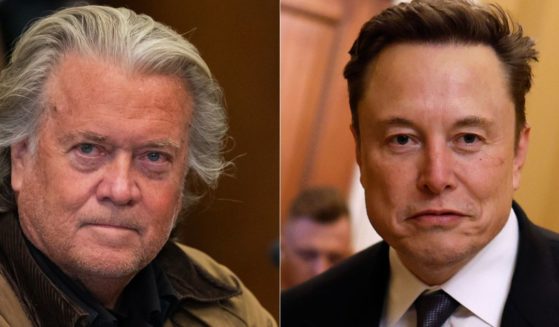 Last week, former advisor to President-elect Donald Trump, Steve Bannon, left, went off about new Trump ally, Elon Musk, right, claiming he will get Musk away from Trump by Inauguration Day.