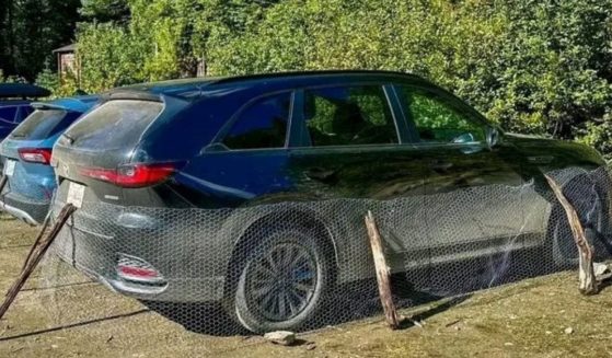 A car wrapped in chicken wire.