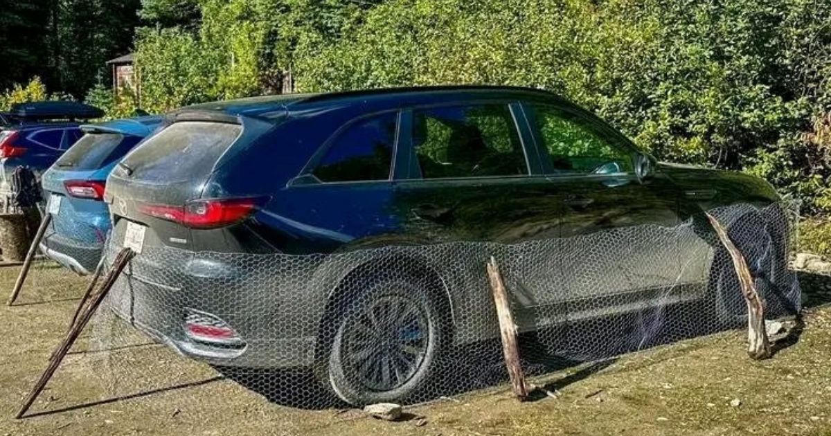 A car wrapped in chicken wire.