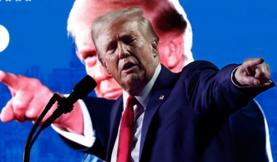 Now-President-elect Donald Trump speaks during a campaign rally in Grand Rapids, Michigan, on Nov. 5.