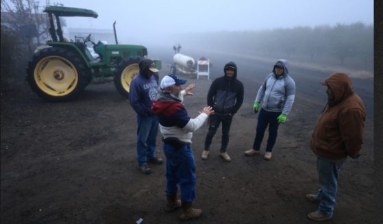 A French media company interviewed a California farmer who predicted disaster if President-elect Donald Trump deports undocumented agricultural laborers.