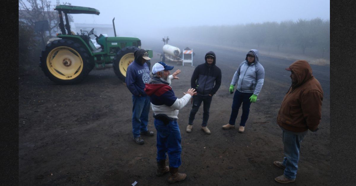 Farmer Warns Trump: Prepare for Fallout from Your Key Policy