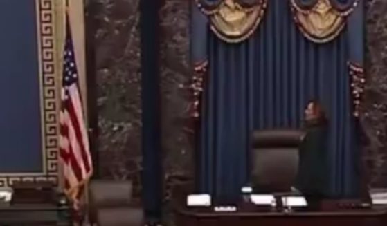 In a video posted to X on Friday, Vice President Kamala Harris messed up the words to the Pledge of Allegiance while presiding over the Senate.