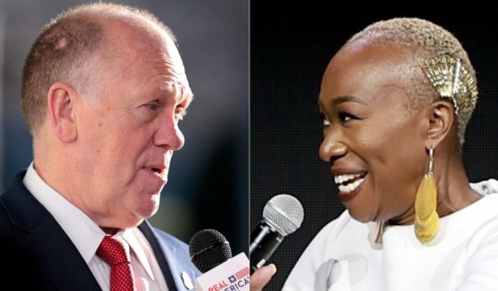 On Tuesday MSNBC host Joy Reid, right, attacked Homeland Security Secretary Kristi Noem for participating in raids to rid New York City of criminal illegal immigrants, but border czar Tom Homan, left, shot back, calling Reid "dumber than a box of rocks."