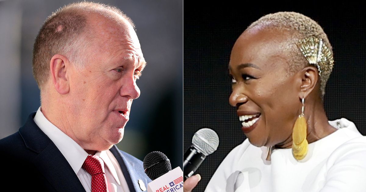 On Tuesday MSNBC host Joy Reid, right, attacked Homeland Security Secretary Kristi Noem for participating in raids to rid New York City of criminal illegal immigrants, but border czar Tom Homan, left, shot back, calling Reid "dumber than a box of rocks."