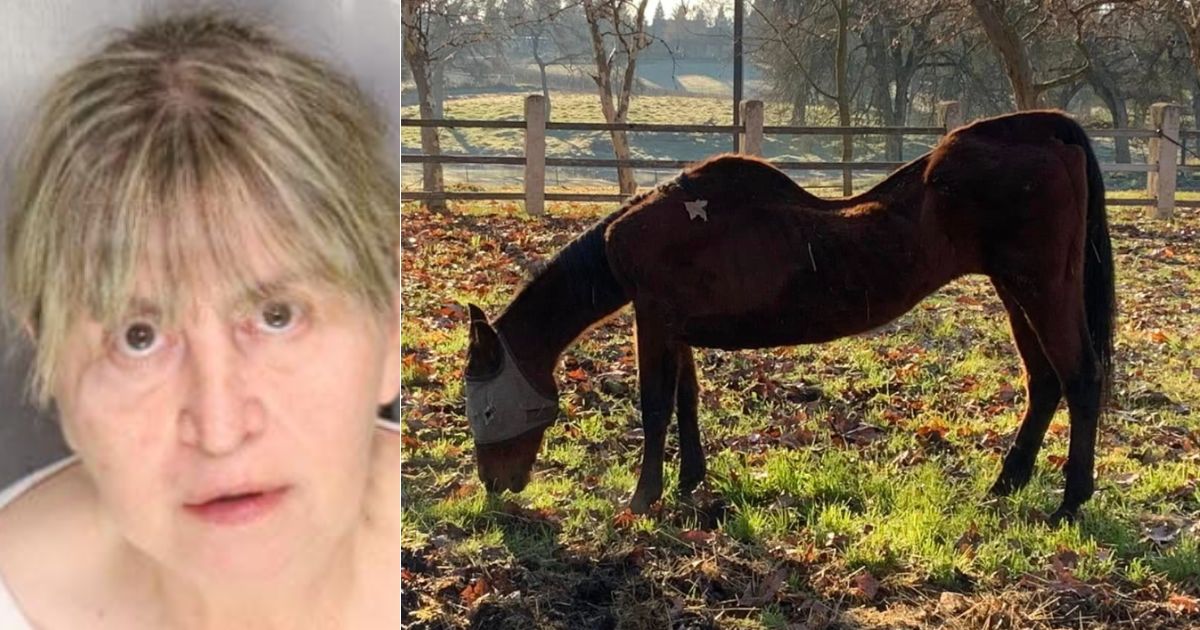 Woman Arrested After Over 50 Dead Animals Discovered, Starving Horse Found Twisted Into Disturbing U-Shape