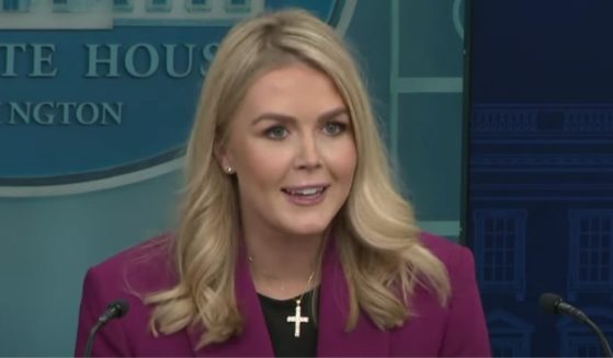 During a Tuesday media briefing, White House press secretary Karoline Leavitt discussed the federal spending cuts enacted by the Trump administration, claiming money was being used to send condoms to Hamas in Gaza.