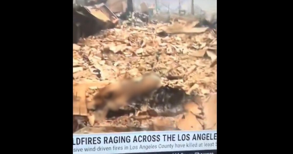 Weather Channel Accused of Airing Burnt Body in LA Fire Coverage