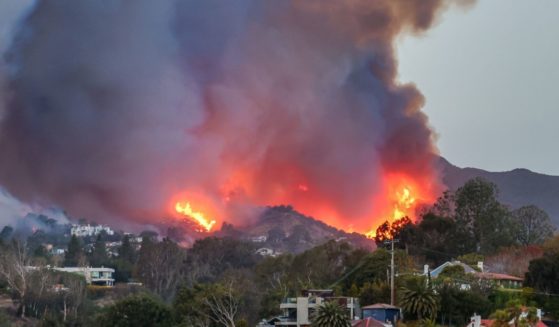 Smoke and flames from the Palisades Fire fill the sky as seen from the Pacific Palisades neighborhood of Los Angeles, California on January 7, 2025.