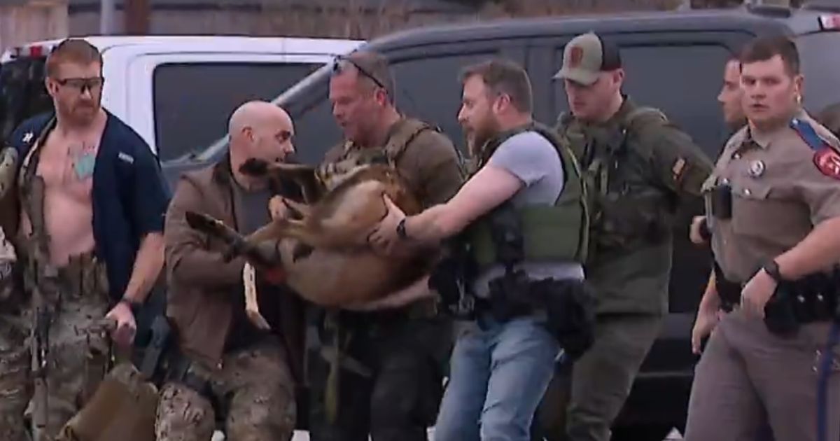 K9 Shot After Sniffing Out Alleged Cop-Killer in Dumpster, Video Shows US Marshals Rushing Him to Airlift