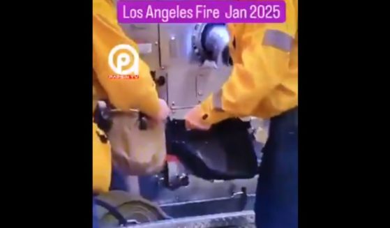 A video circulating on social media showing Los Angeles firefighters using specialized canvas bags to extinguish small blazes had some users wondering if they were using women's purses.