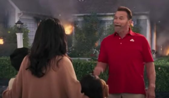 State Farm won rave reviews for its Super Bowl ad last year starring actor and former California Gov. Arnold Schwarzenegger, but decided against running one this year due to the devastating fires in the Los Angeles area.