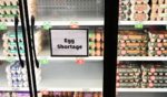 Egg shortage signage is displayed on partially empty shelves at a Sprouts Farmer's Market grocery store in Lawndale, California on January 2, 2025. Bird flu and other factors have contributed to an egg shortage in California.