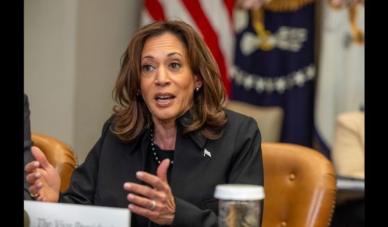 US Vice President Kamala Harris speaks to the media on the federal response to the Los Angeles wildfires at the White House on January 9, 2025 in Washington, DC.