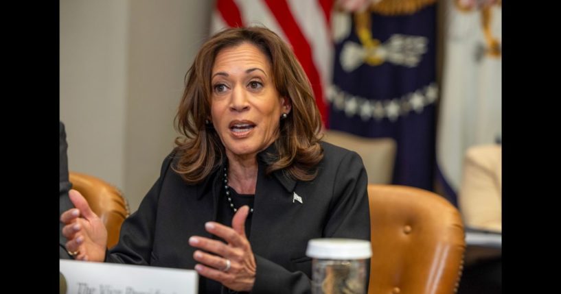 US Vice President Kamala Harris speaks to the media on the federal response to the Los Angeles wildfires at the White House on January 9, 2025 in Washington, DC.