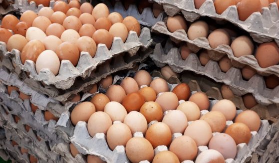 Crates of eggs are ready to be sold on the retail market.