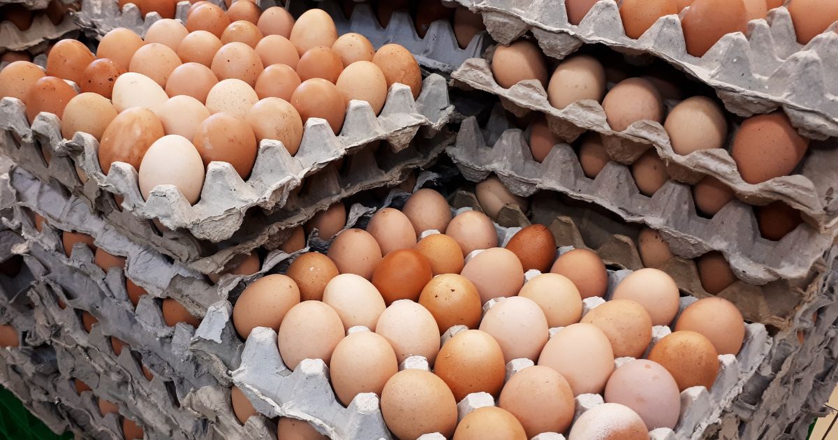 Egg Heist: ,000 in Product Stolen from Distribution Trailer