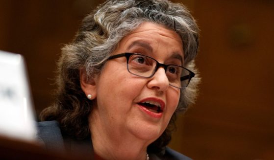 Federal Election Commission Commissioner Ellen Weintraub testifies on Capitol Hill in Washington, D.C., on May 22, 2019.