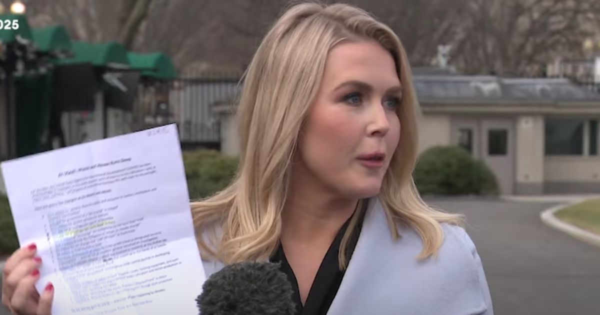 Watch: Karoline Leavitt Pulls Out 'Insane' List of USAID Expenditures as Reporter Frets About 'Humanitarian Aid'