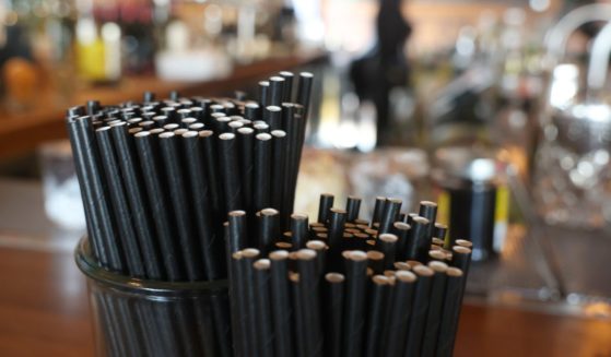 Paper straws sit in a container on the bar at Laurel Tavern on February 7, 2025, in Studio City, California.