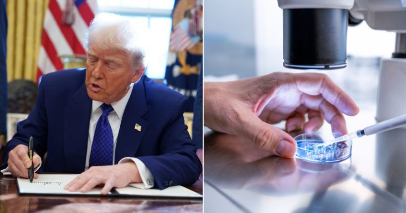 President Donald Trump, seen in a Feb. 14 photo, signed an executive order Tuesday expanding access to in vitro fertilization, to the dismay of many in the pro-life community.