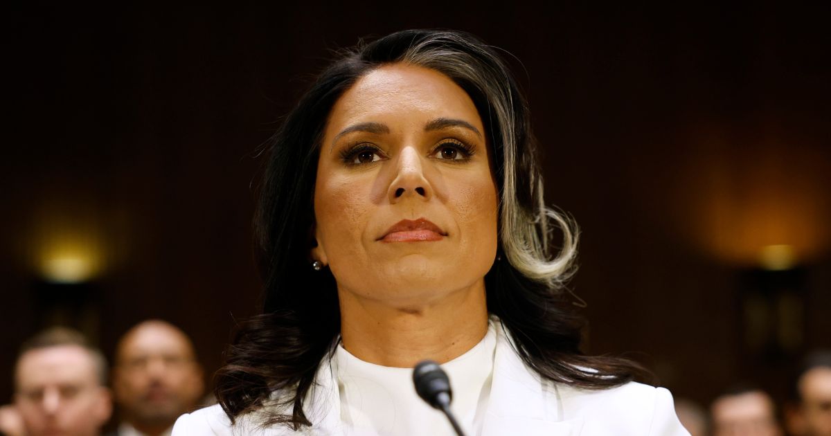 Intel Officials Caught ‘Attempting to Undermine’ DNI Tulsi Gabbard ‘from Within’: Report