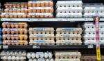 Cartons of eggs are seen for sale in a Kroger grocery store on Aug. 15, 2022, in Houston, Texas.
