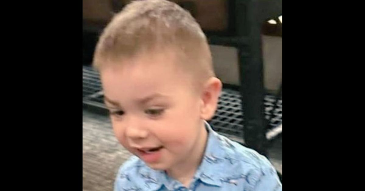 Massive Search Effort Underway After 2 Year Old Disappears from His Front Yard in Broad Daylight