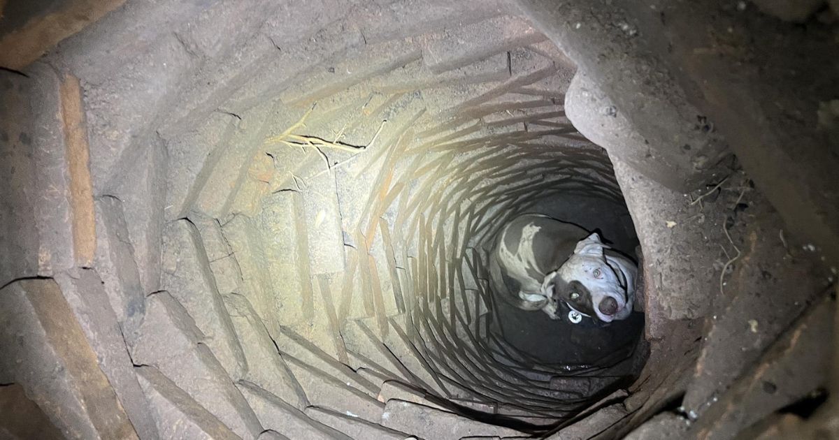 Man Hears Strange Sounds for Days, Realizes There’s a Well Below His House and Something Big Is Trapped There