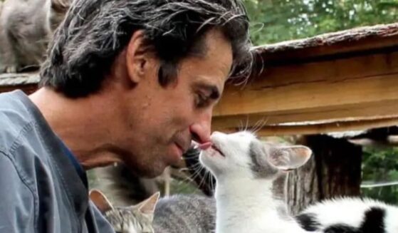 Christopher Arsenault passed away on March 31, 2025, in Medford, New York, while trying to rescue cats from his Happy Cat Sanctuary amid a fire.